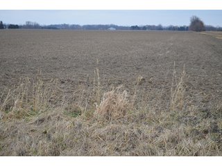 Property photo 1 - 175 Acres Offered in 5 Tracts - Tontogany, Ohio Farm Land Auction